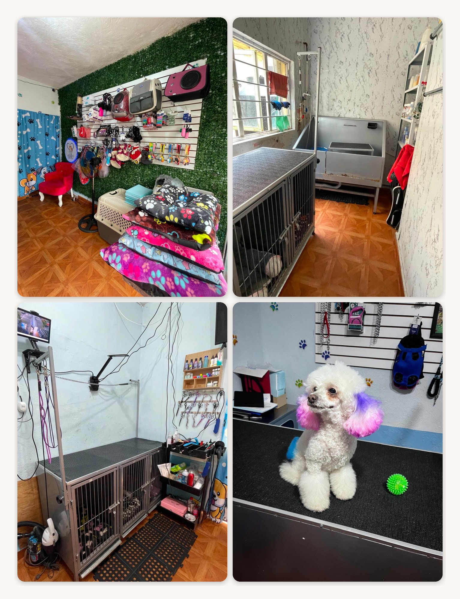 Instalaciones de Olimpo Estética Canina